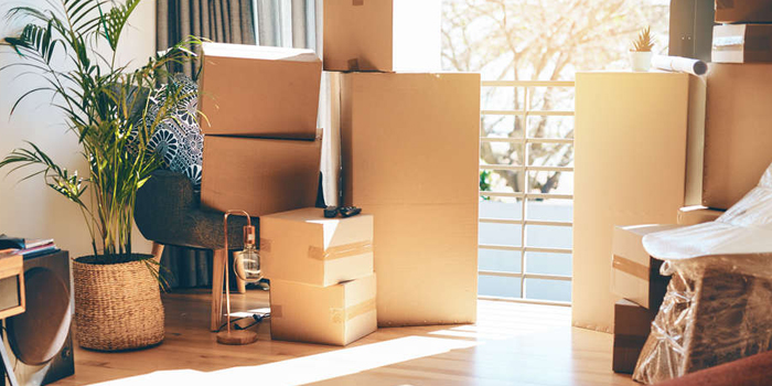 apartment shifting services in Kannapolis 