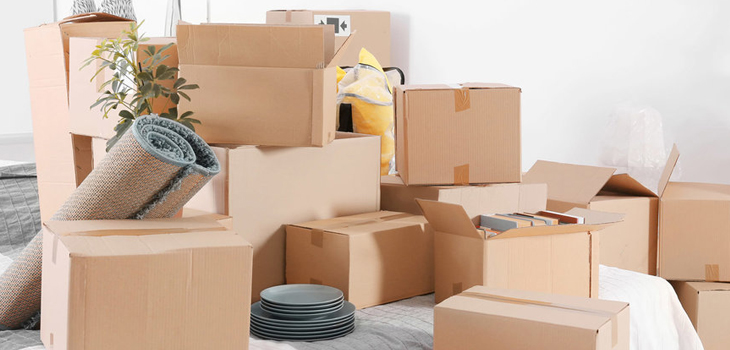 Packing & Unpacking Services in Kannapolis